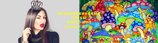 mdpv Дмитров