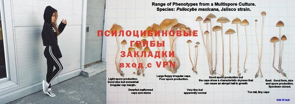 mdpv Дмитров