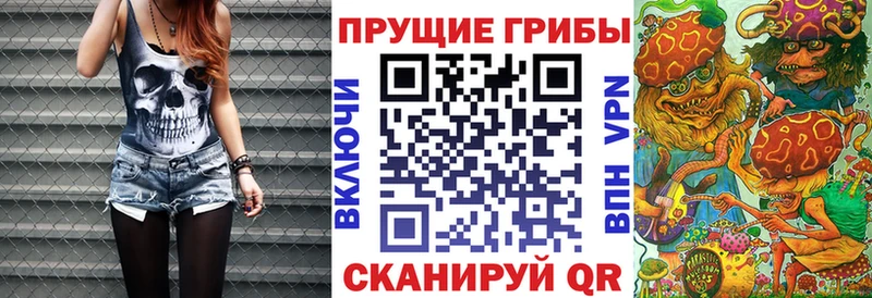 Галлюциногенные грибы MAGIC MUSHROOMS  Купить где  Рудня 