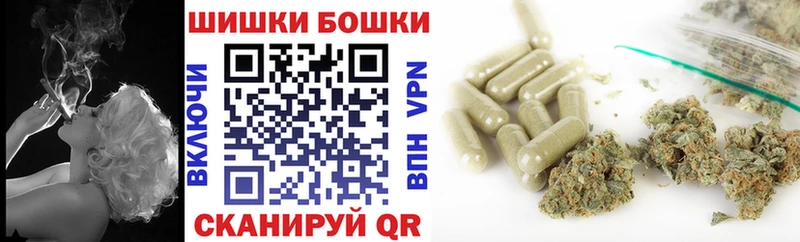 Конопля ГИДРОПОН  Купить закладки  Рудня 